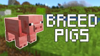 How to Breed Pigs in Minecraft (All Versions)