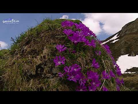 Zwischen hohen Bergen und tiefen Tälern - geosfilm