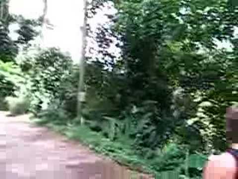 The Hawaii diaries 5