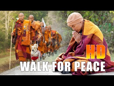 (HD)Buddhist Monks Walk for Peace 🕊️ | Inspirational Meditation Music | Mindful Journey
