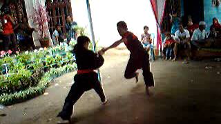 preview picture of video 'North Sumatera Pencak Silat.'