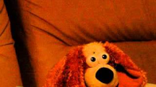 Partir ou rester Calogero.MOV