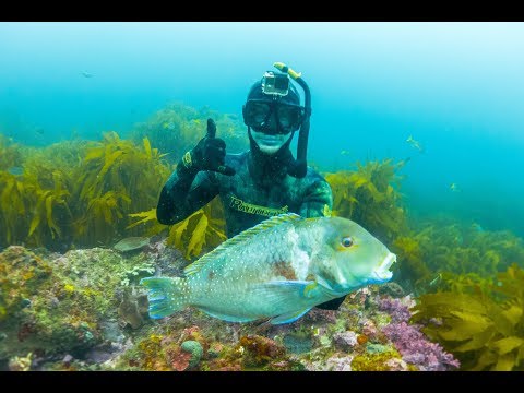 download lagu mp3 mp4 Harry Hawkins, download lagu Harry Hawkins gratis, unduh video klip Harry Hawkins