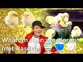 Waarom eten we eieren met Pasen? | Waarom? Daarom! | Het Klokhuis