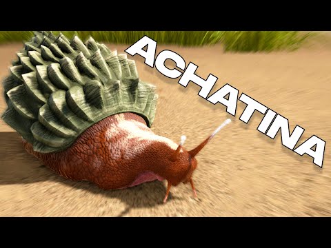 HOW TO TAME AN ACHATINA & ALL ITS SKILLS (PC, PS & XBOX) - ARK