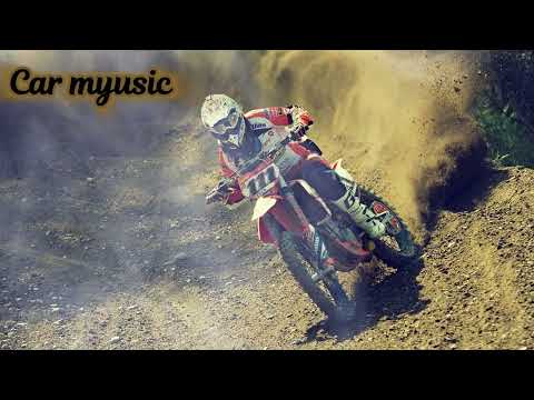 ORGAN, Stige - Cricket (we nice)