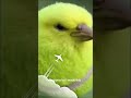 I Was Bored So I Made This Ahh Video Funny Weird Wtf