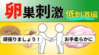 【卵巣をやんわりと刺激する】マイルド法の実際。脳と卵巣はどんな会話をしている？