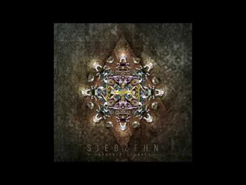 SiebZehN - Starship Signals [Full Album]