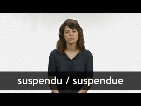 English Translation of “SUSPENDU”