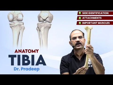 Tibia | Anatomy | Hard Parts Made Easy with Dr. Pradeep Pawar | PW MedEd