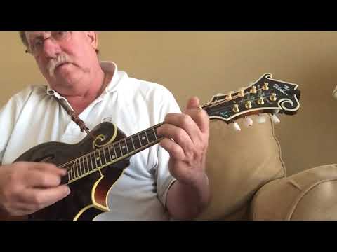 Possum up the Gum Stump Lesson