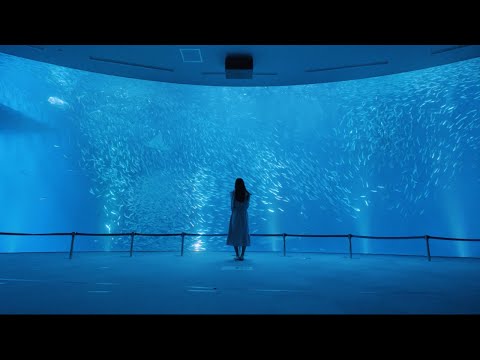 名古屋市科学館・東山動植物園・名古屋港水族館