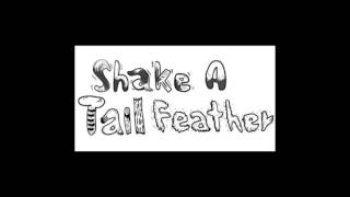 Shake A Tail Feather - Tina Turner