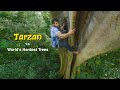 The Real Life Tarzan VS Worlds Hardest Tree Climbs Ft Leo Primal