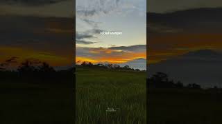 Download lagu story wa 30 detik - story wa terbaru - story wa Jawa - quotes Jawa lucu - story wa ambyar mp3 Download lagu story wa 30 detik - story wa terbaru - story wa Jawa - quotes Jawa lucu - story wa ambyar mp3