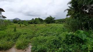 Three Individual Land Plots for Sale in a Prime Cherng Talay Location and Near Laguna Development