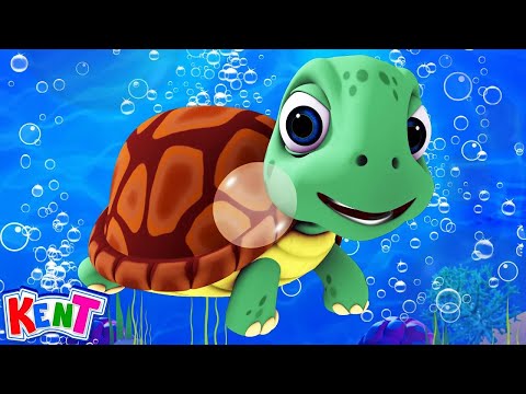 I Had A Little Turtle Song + More Daily Nursery Rhymes & Kids Songs By Kent  The Elephant
