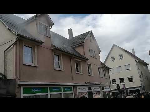 Jahreshauptübung Feuerwehr Mengen 2022