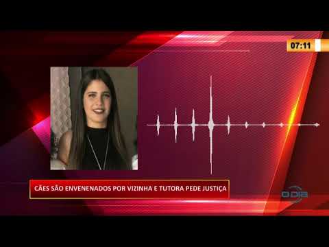 CaÌƒes saÌƒo envenenados por vizinha e tutora pede justiça 20 07