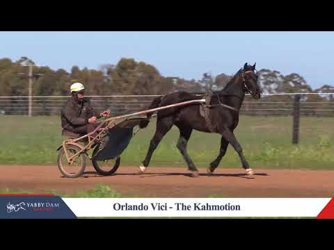 10 Orlando Vici  The Kahmotion  1