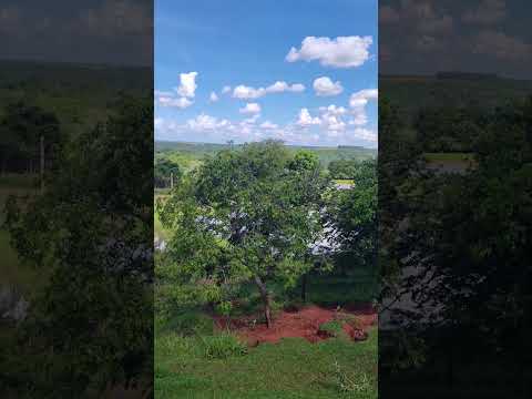 15 de fevereiro de 2026