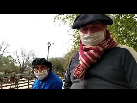 Remates de hacienda: "Estamos tomando todos los recaudos que se tienen que tomar"