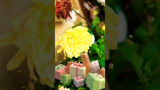 ABBA - Ring Ring (English Version)