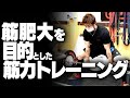 身体を一回り大きくするための筋肥大を目的とした脚や臀部、背中の筋力トレーニングをご紹介します!【SBDアスリート】渋谷優輝