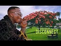 Harmonize ft marioo - disconnect (official music video)