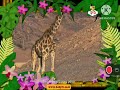 The Amazing World Giraffe BabyTV