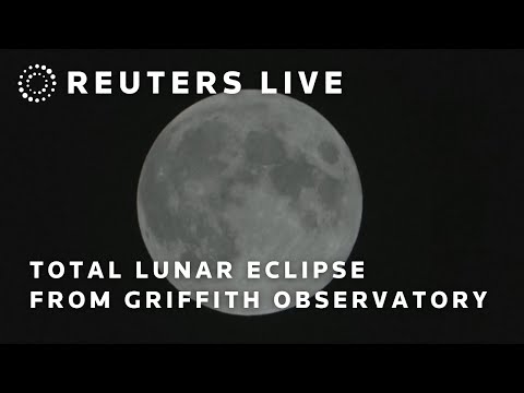 LIVE: Total lunar eclipse from Griffith Observatory