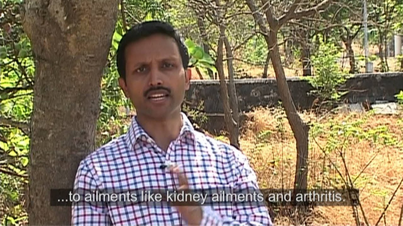 What is Basic Pranic Healing®?