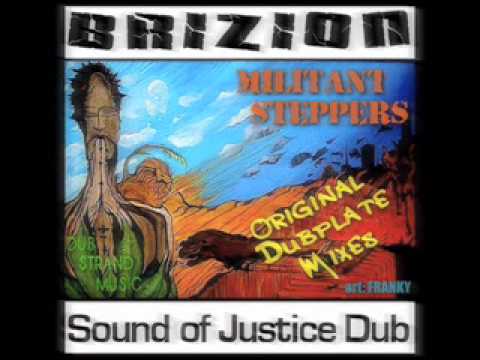 "Earthquake Dub" - BriZion