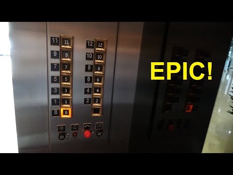 Absolutely Beautiful! EPIC & Fast 1958 Vintage Otis Touch-Sensitive Traction Elevators