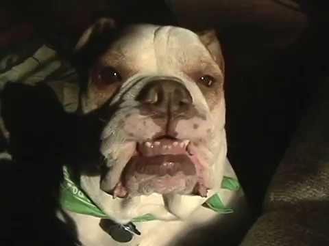 2009 08 Mikes Tapes 18 Tater Edit