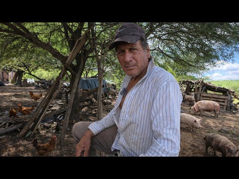 Así es VIVIR en el medio del MONTE SANTIAGUEÑO (campo adentro)