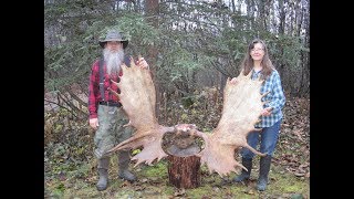 Wife And I Harvest An Alaskan Trophy Moose