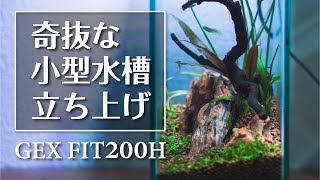 【小型水槽レイアウト】GEX FIT200Hで立ち上げ【小さな癒しの世界】