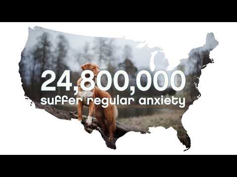 Calmz Anxiety Relief System