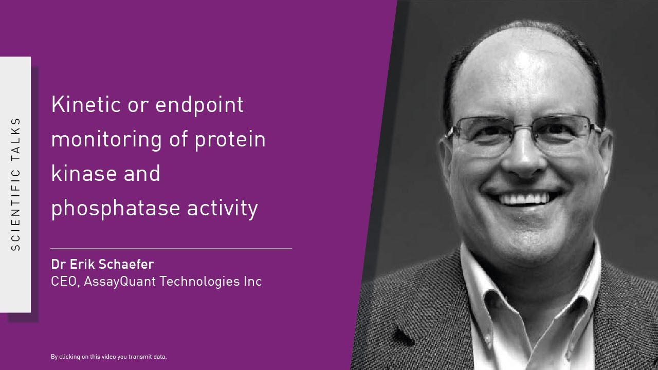 Monitoring of protein kinase and phosphatase activity using kinetic or endpoint formats