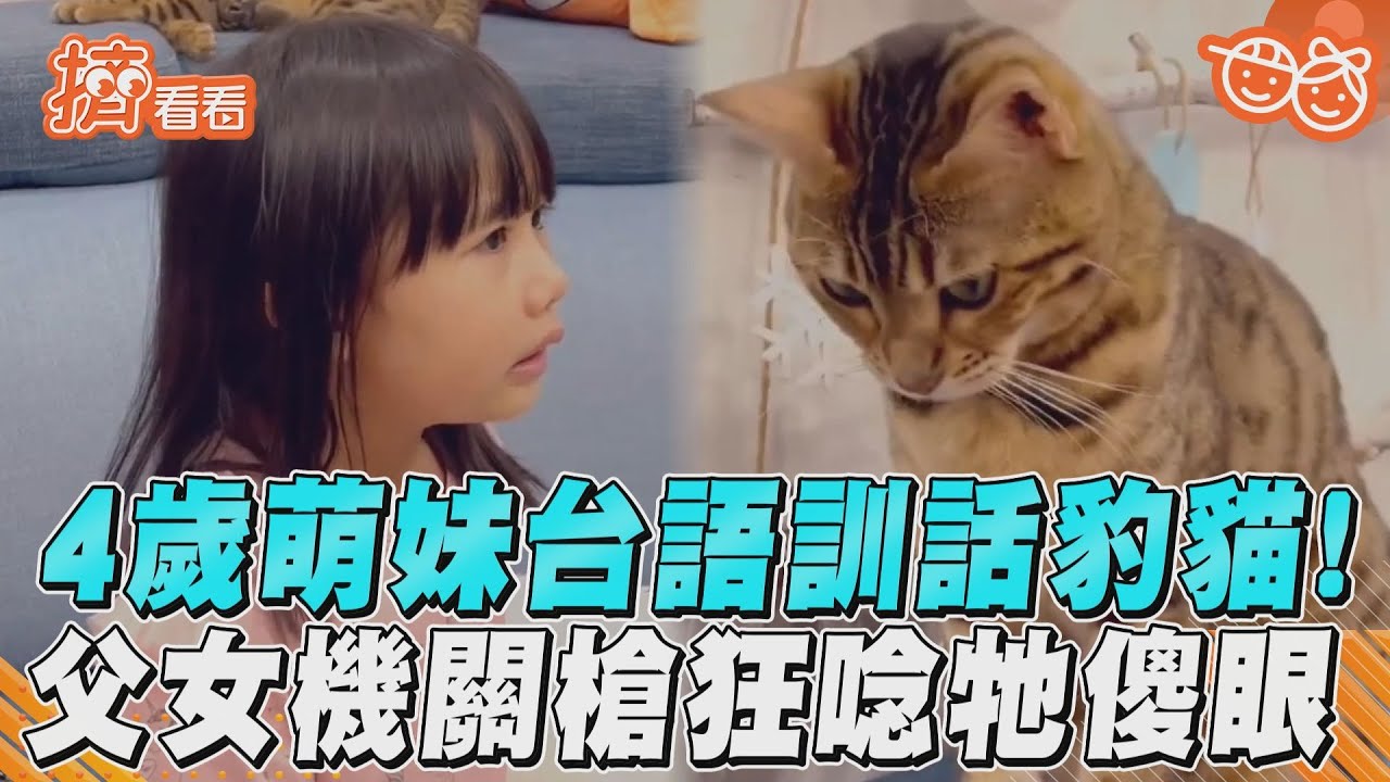 影音／4歲萌妹台語訓話豹貓！　父女機關槍狂唸牠傻眼