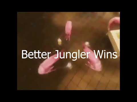 Better jungler wins shrimp