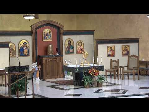 Nov 3rd 2020 -  8:30pm Mass (St. Martin de Porres)