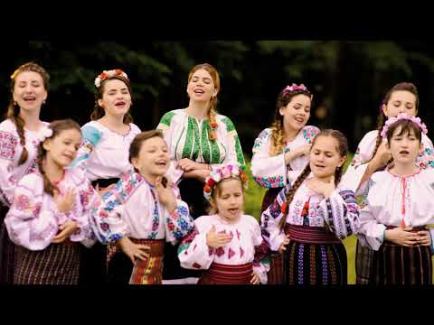 Mandre Trotusene - Fata neichii,fata