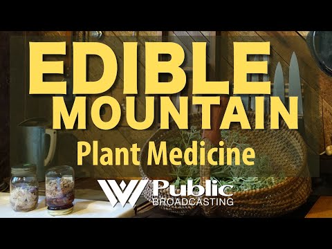 Edible Mountain: Plant Medicine