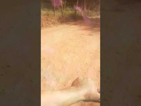 cheguei no bom jardim povoado de bom lugar ma