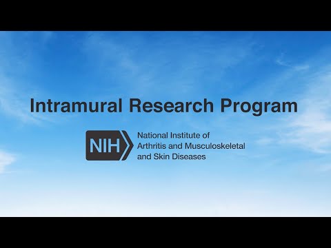 Intramural Research Program at the National Institute of Arthritis & Musculoskeletal & Skin Diseases