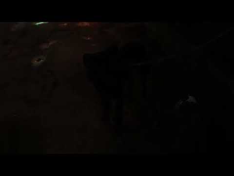 Vanh Leg - Anh Thơ Nụ