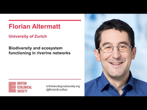 Ecology Live with Florian Altermatt - Biodiversity and ecosystem functioning in riverine networks